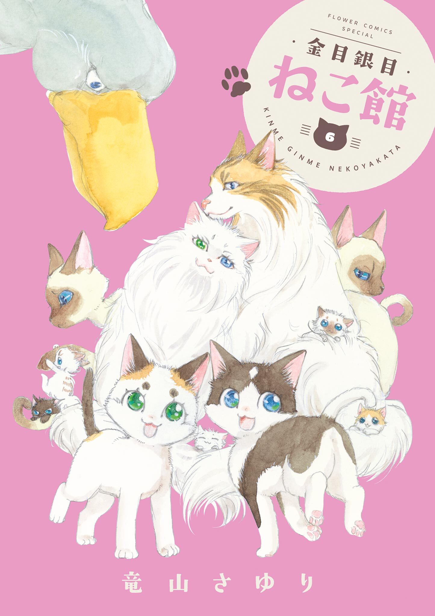 金目銀目ねこ館 6
