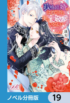 政略結婚のはずだけど、実は愛されているらしい【ノベル分冊版】 19