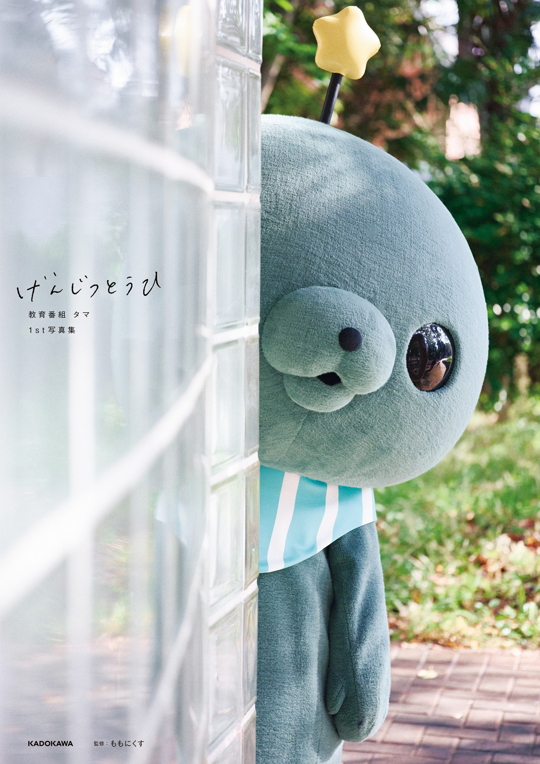 教育番組 タマ 1st写真集 げんじつとうひ