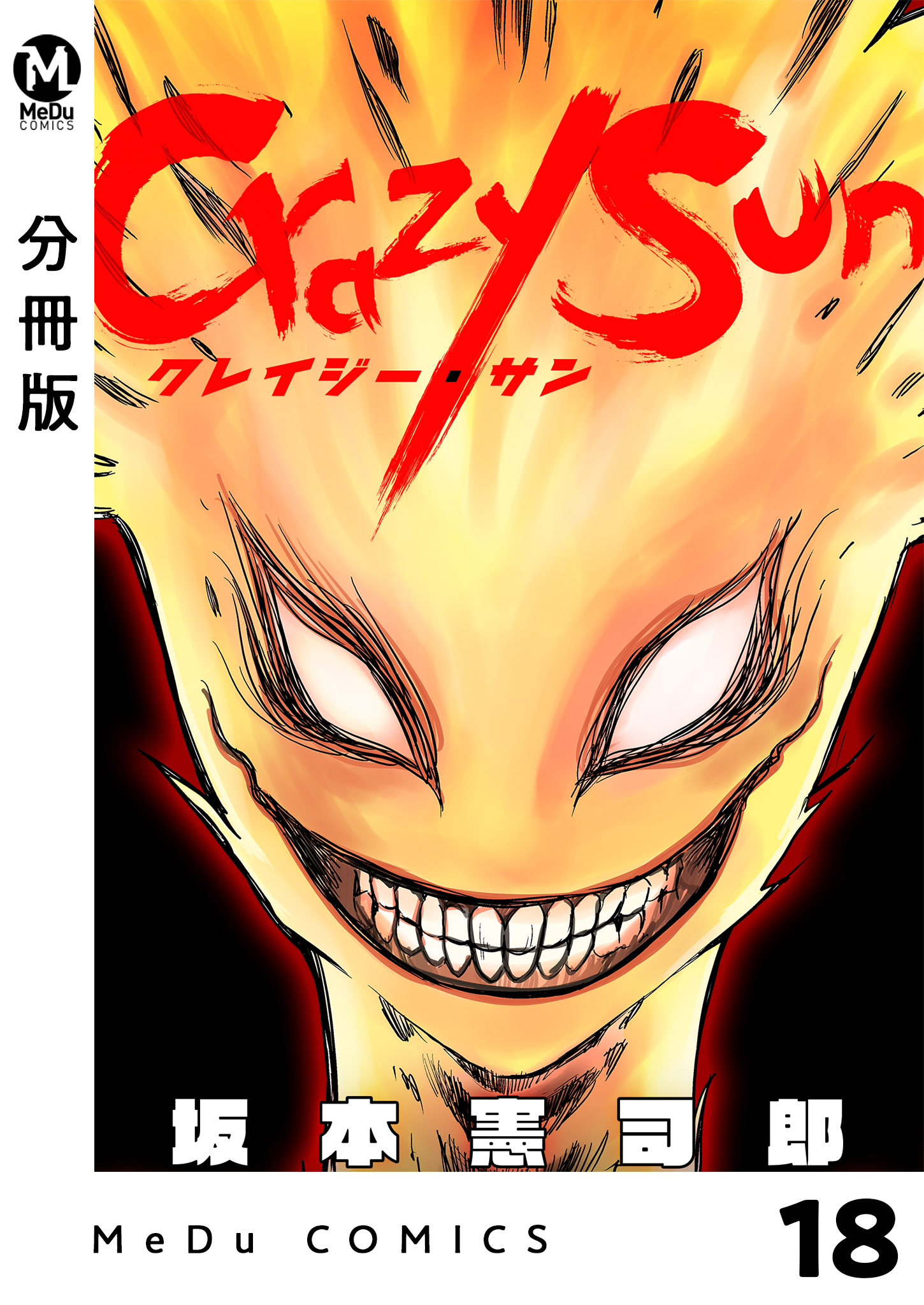 【分冊版】Crazy Sun