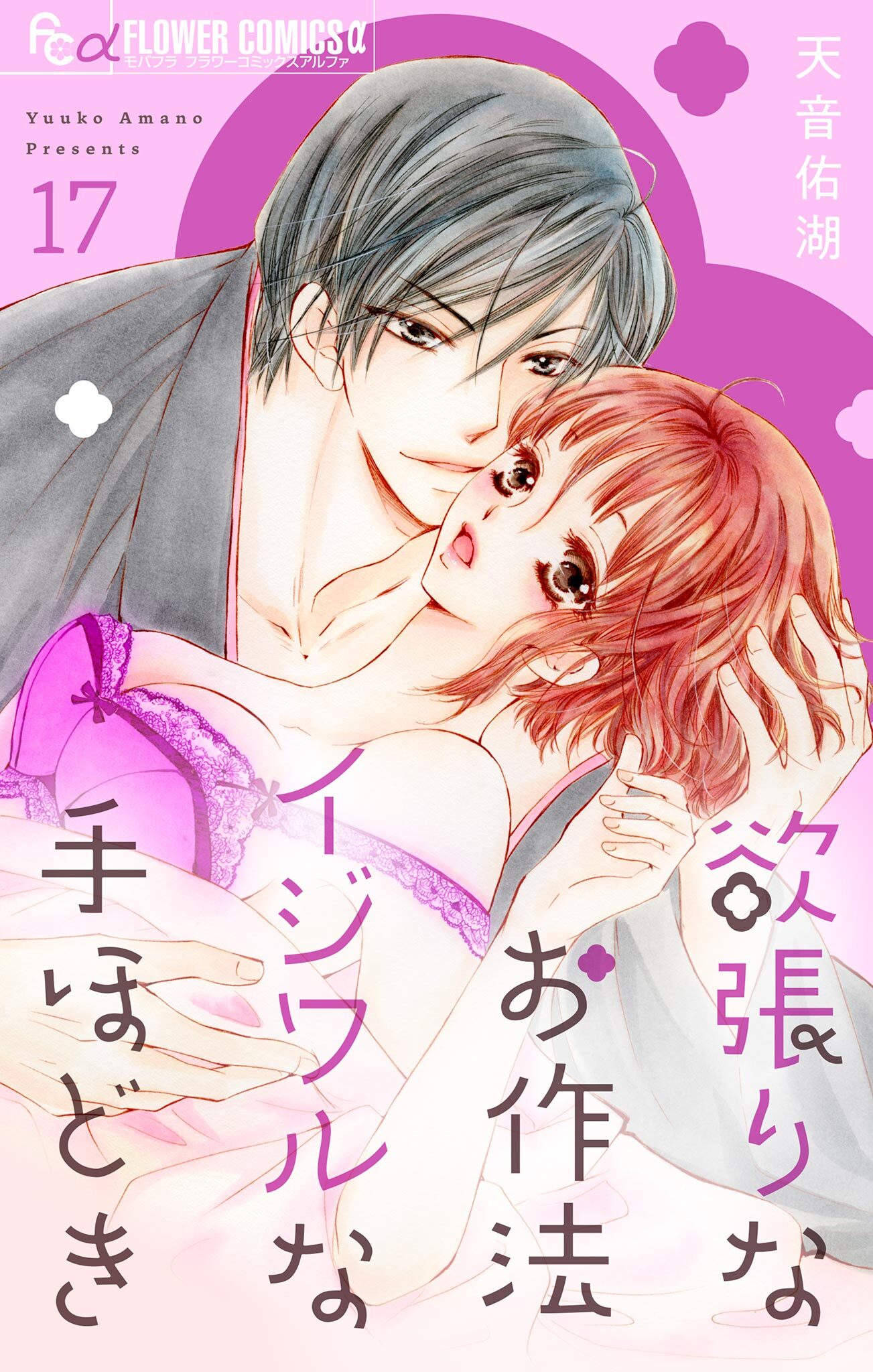 欲張りなお作法　イジワルな手ほどき【マイクロ】 17