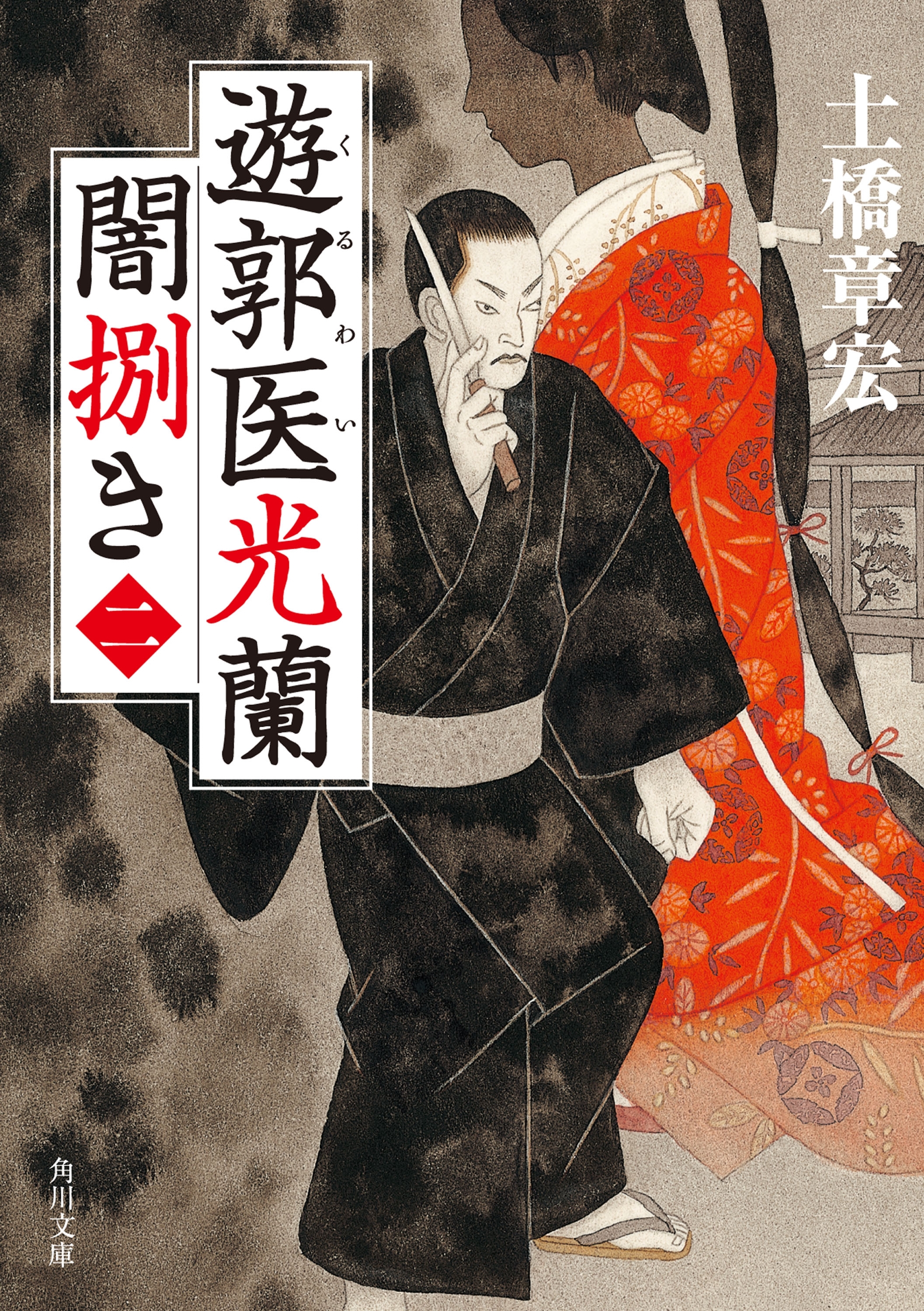 遊郭医光蘭　闇捌き