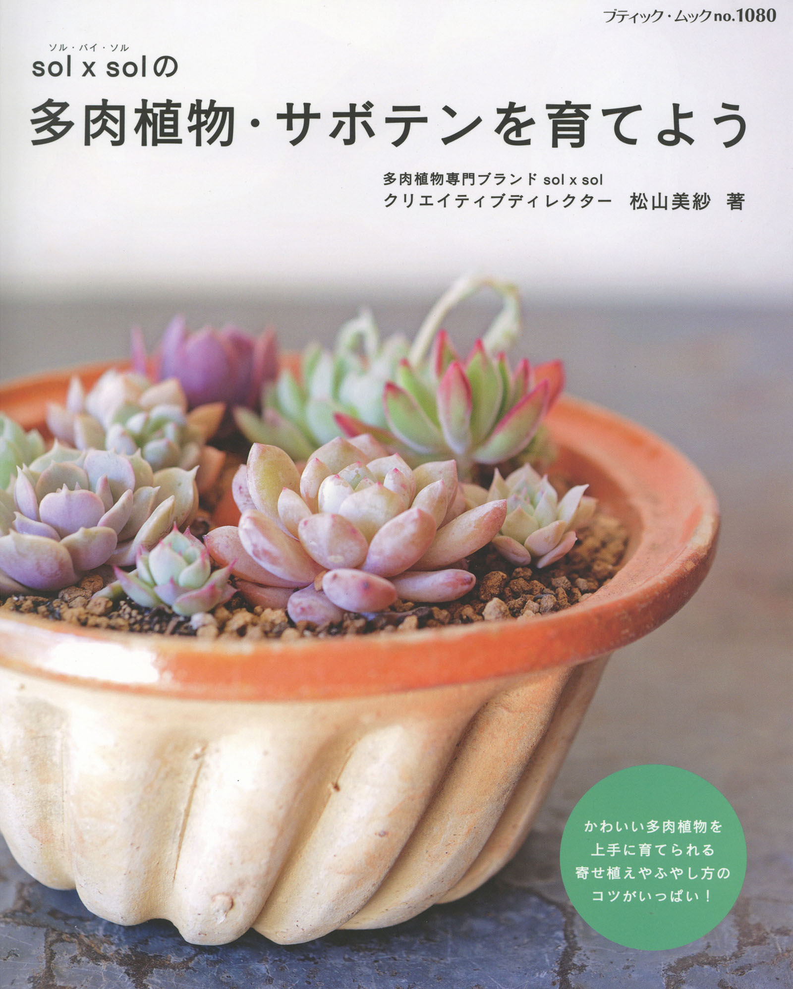 sol × sol の多肉植物・サボテンを育てよう