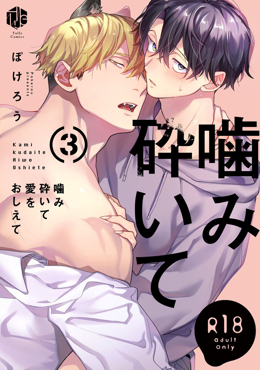 【18禁版】噛み砕いて愛をおしえて 3【コミックス版】