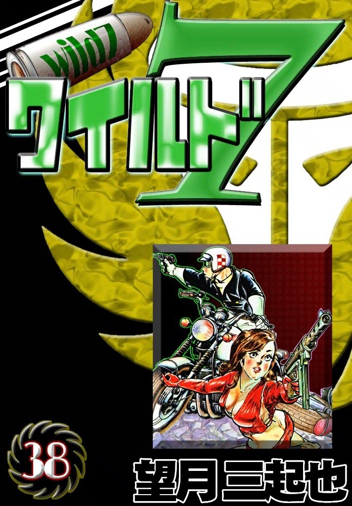 ワイルド７　（38）