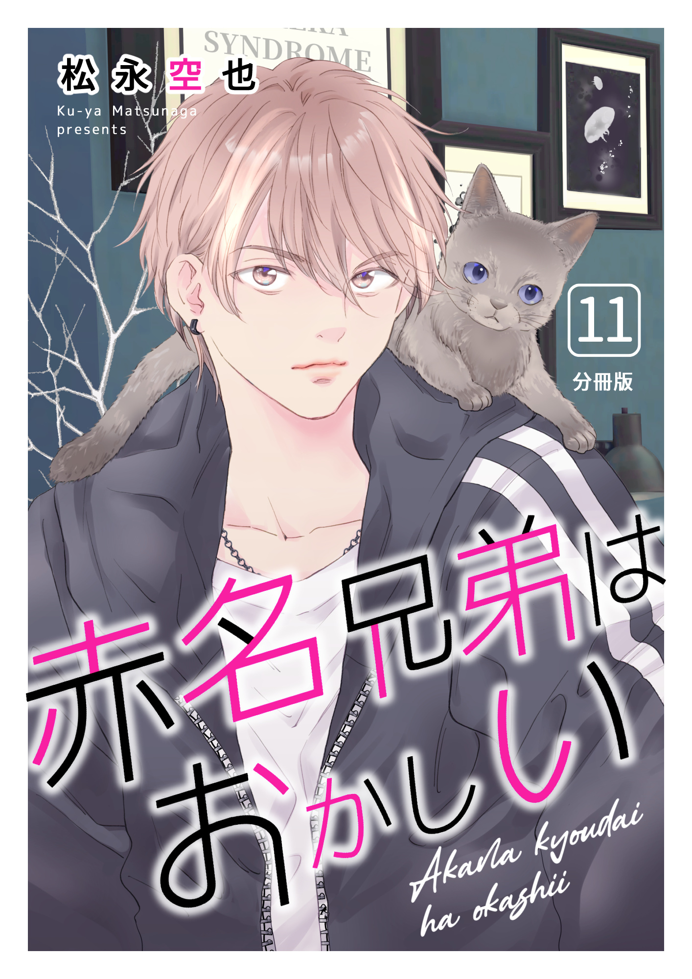 赤名兄弟はおかしい 分冊版