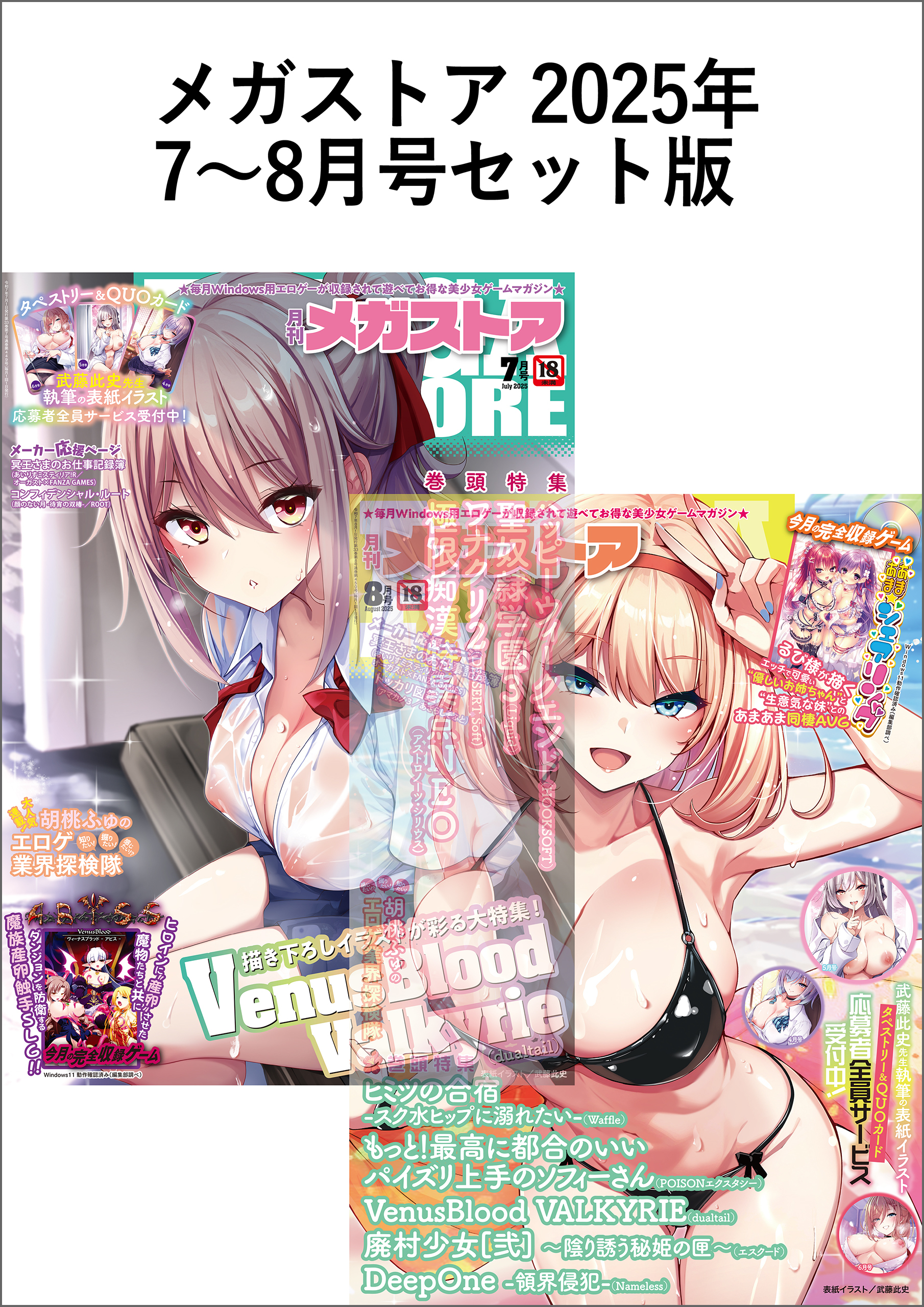 メガストアセット版2025年7-8月号