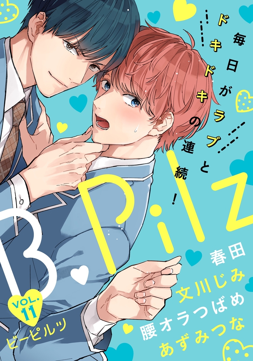 B.Pilz　ｖｏｌ．11