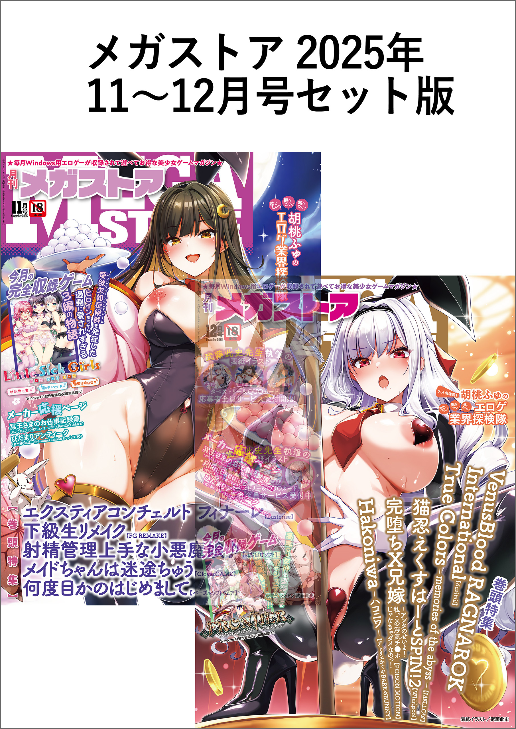 メガストアセット版