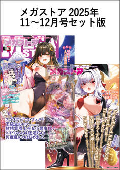 メガストアセット版