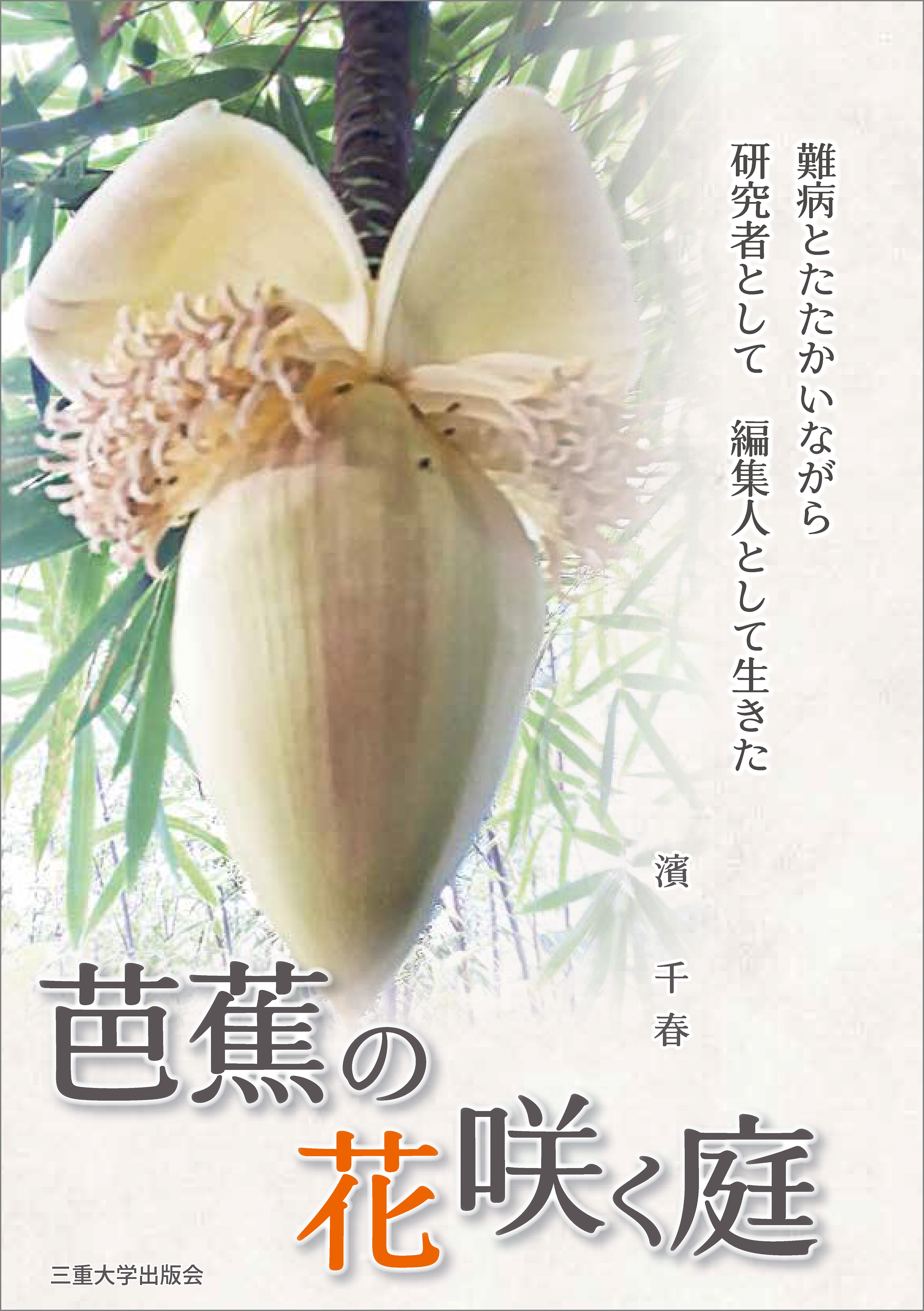 芭蕉の花咲く庭