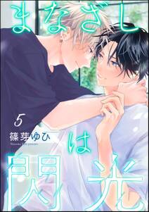 まなざしは閃光(分冊版)