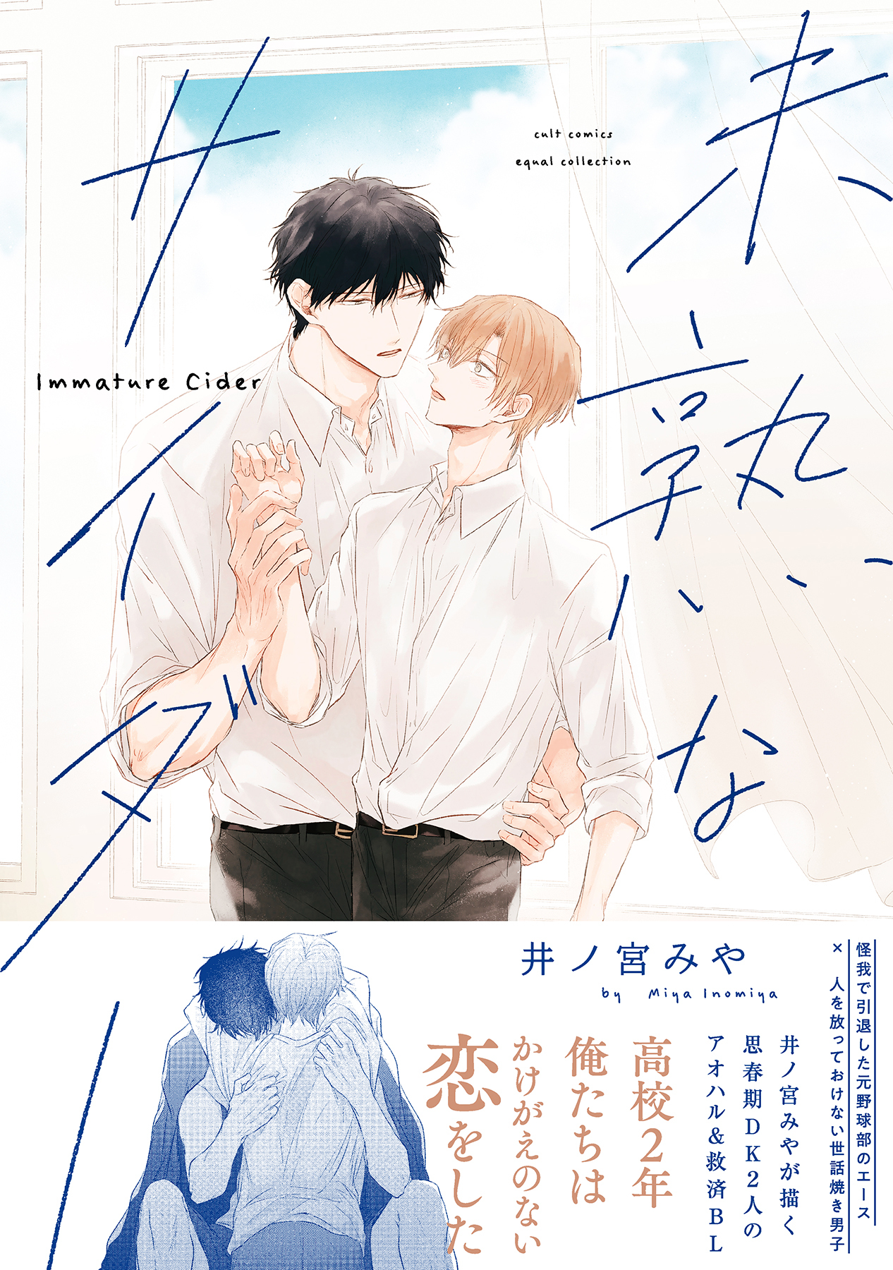 未熟なサイダー【電子限定描き下ろし漫画付き】【コミックス版】