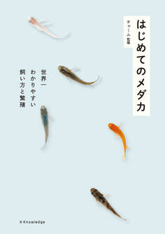 はじめてのメダカ