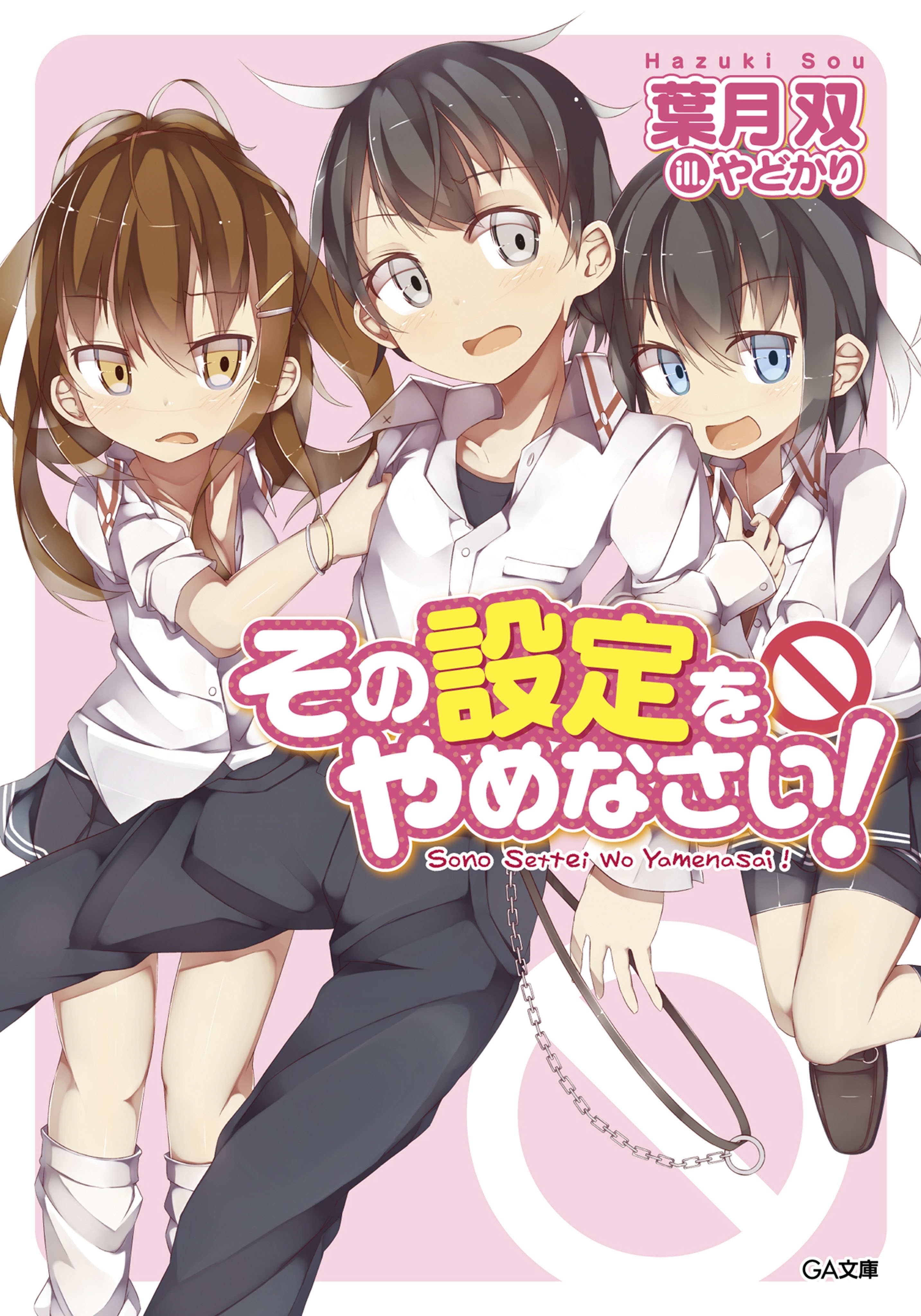 「その設定をやめなさい！」シリーズ