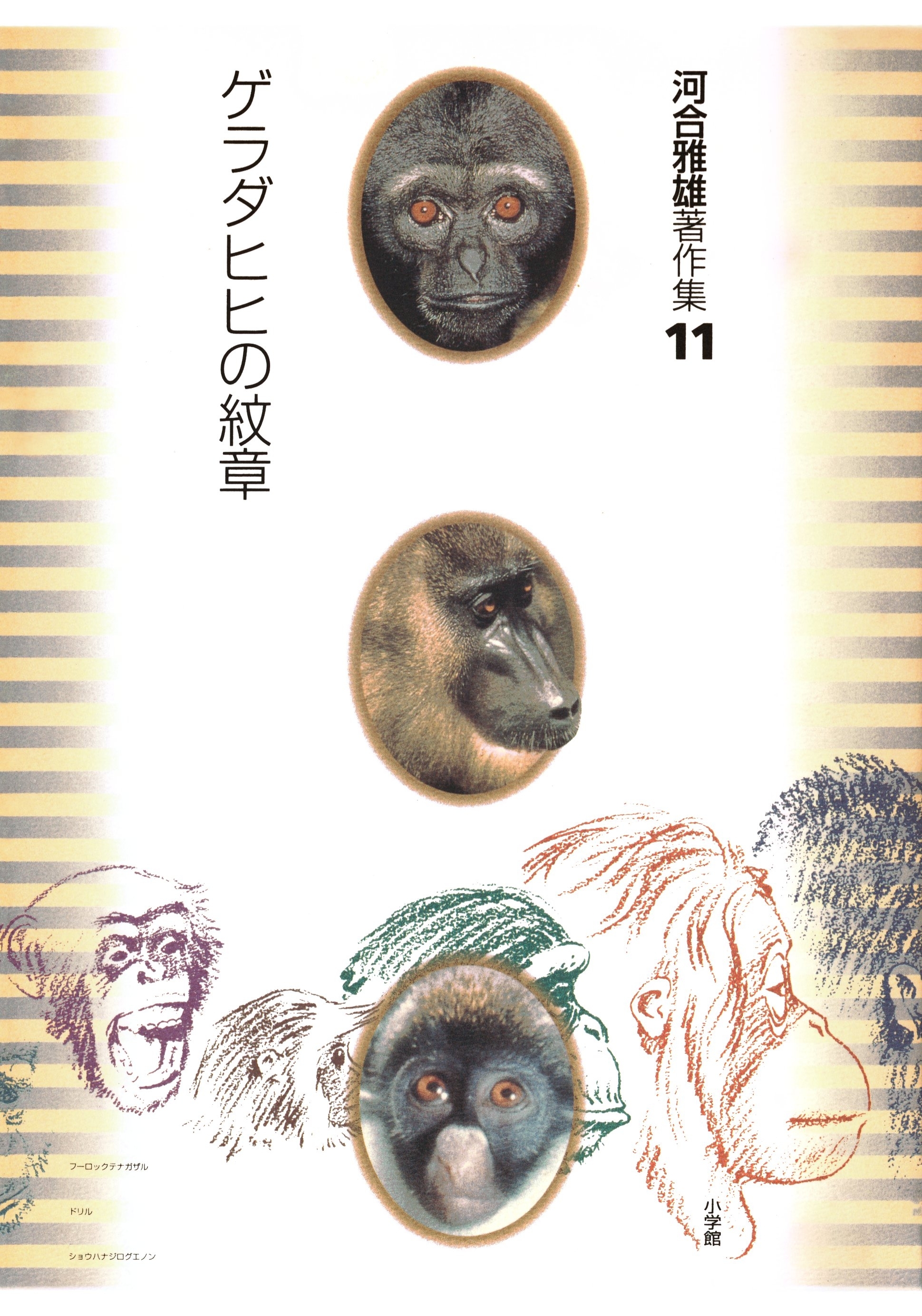 河合雅雄著作集11　ゲラダヒヒの紋章