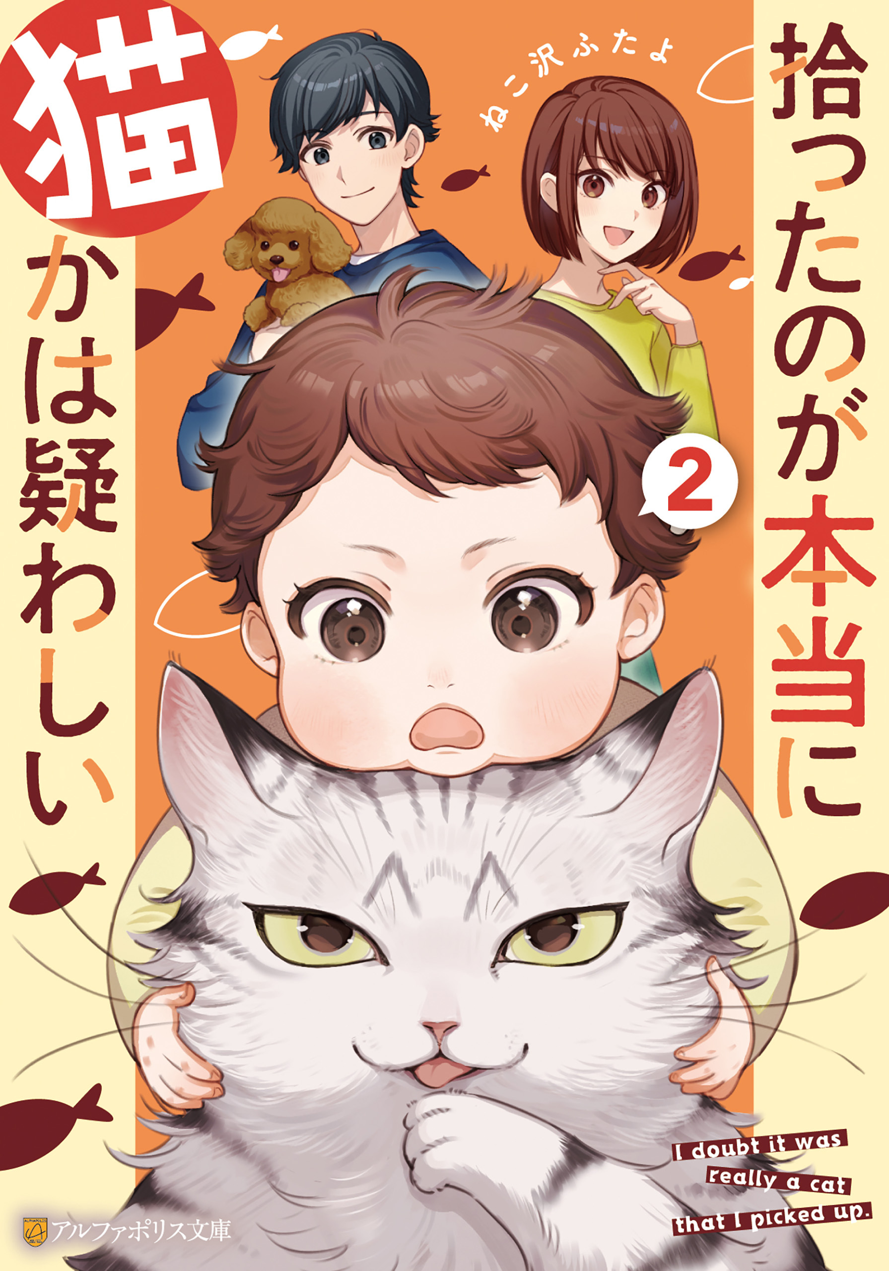 拾ったのが本当に猫かは疑わしい２