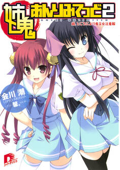 姉鬼あんりみてっど