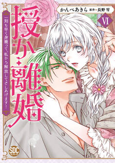 授か離婚~一刻も早く身籠って、私から解放してさしあげます!【単行本版】VI