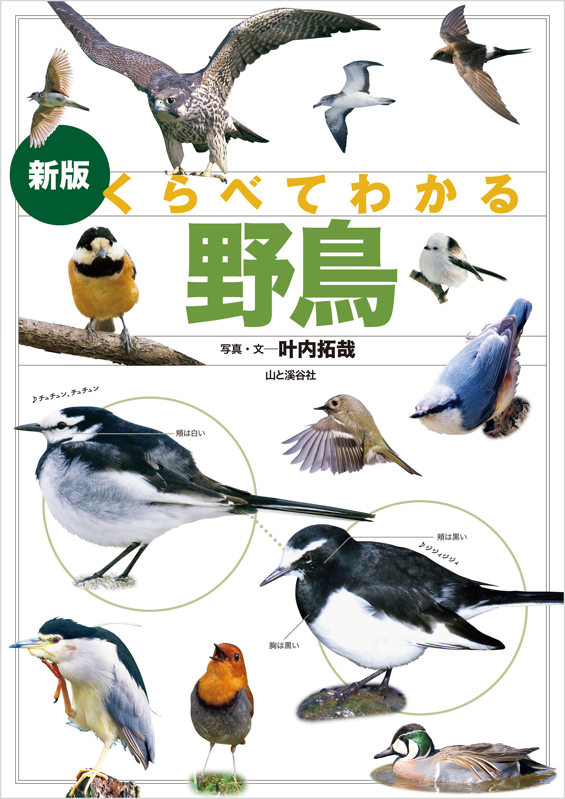 新版 くらべてわかる野鳥