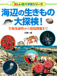 海辺の生きもの大探検!