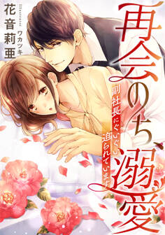 再会のち、溺愛 ~副社長にぐいぐい迫られています~