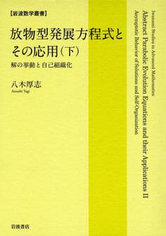 放物型発展方程式とその応用 可解性の理論