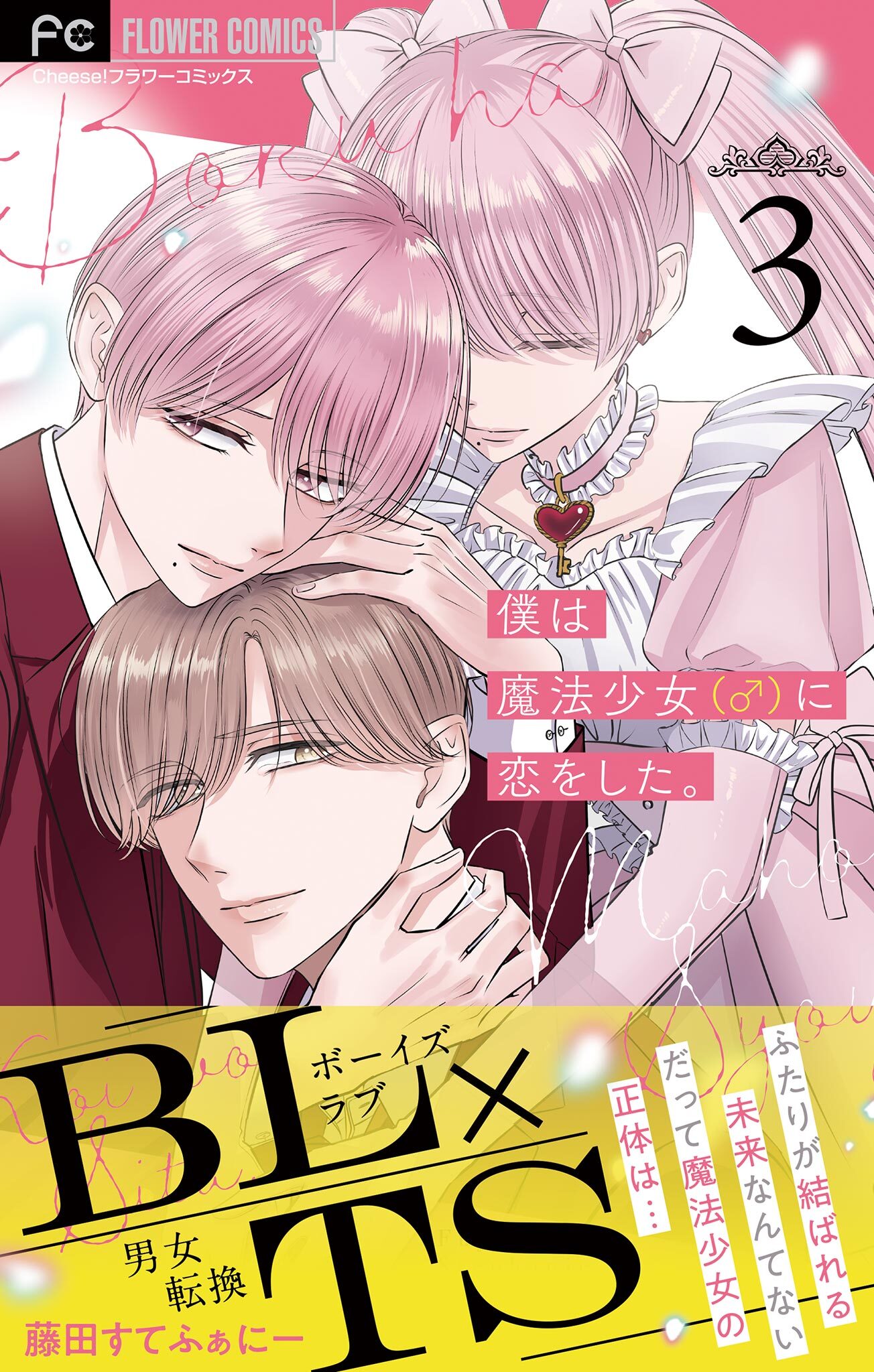 僕は魔法少女（♂）に恋をした。【マイクロ】 3