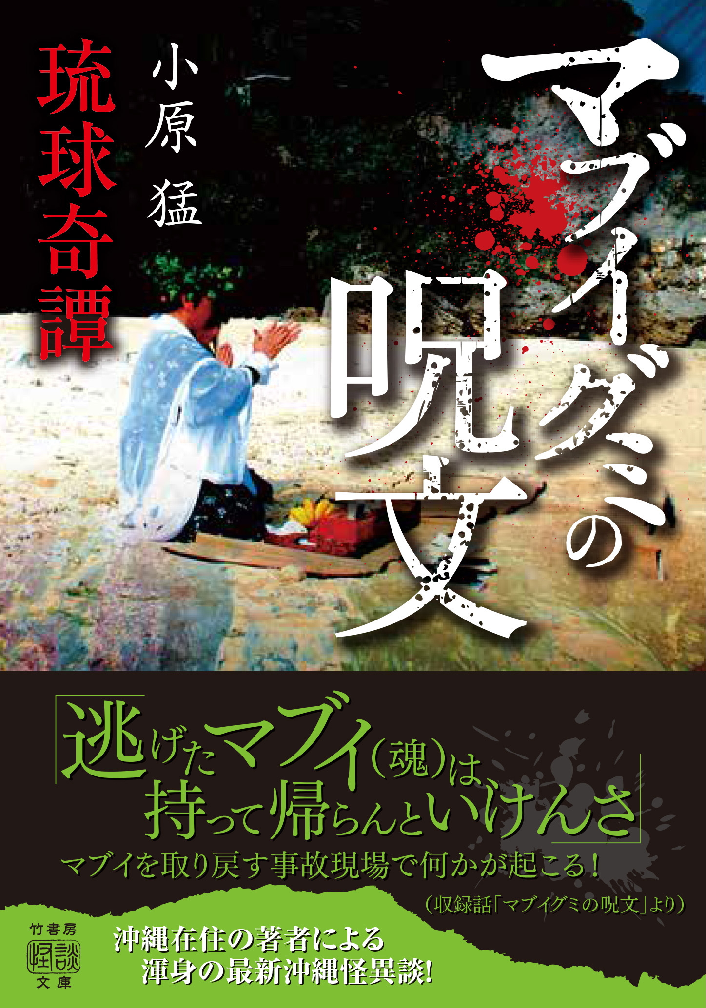 琉球奇譚 マブイグミの呪文