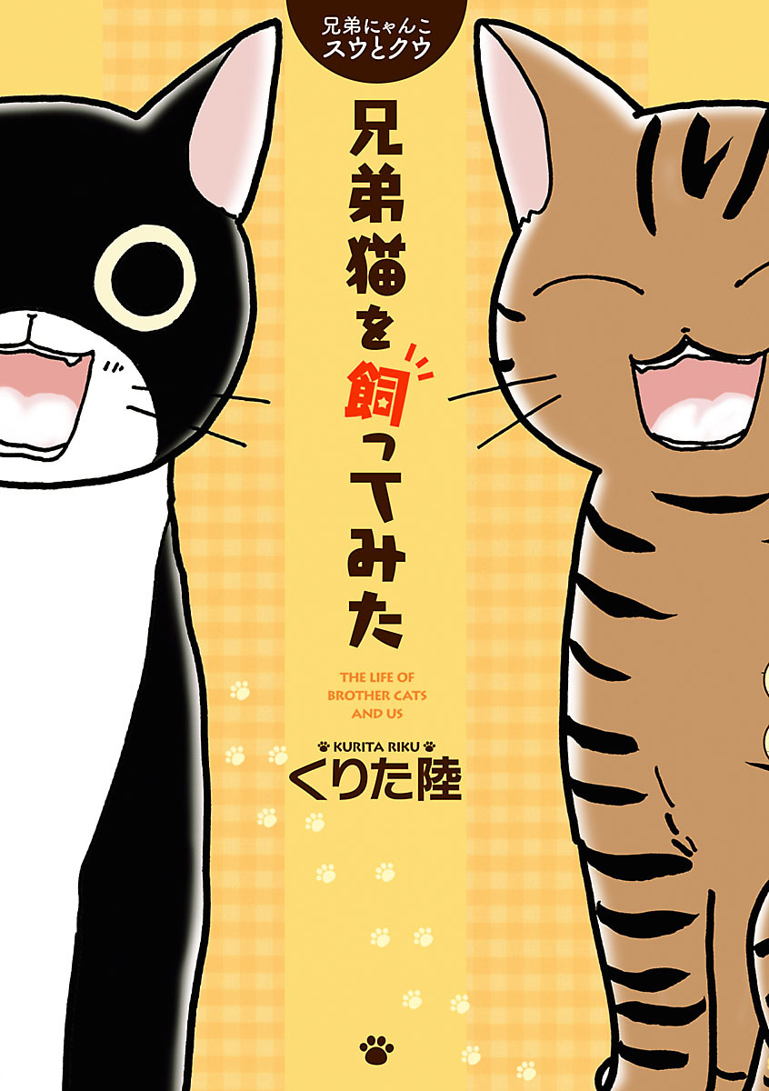 【期間限定　試し読み増量版】兄弟にゃんこ　スウとクウ　兄弟猫を飼ってみた