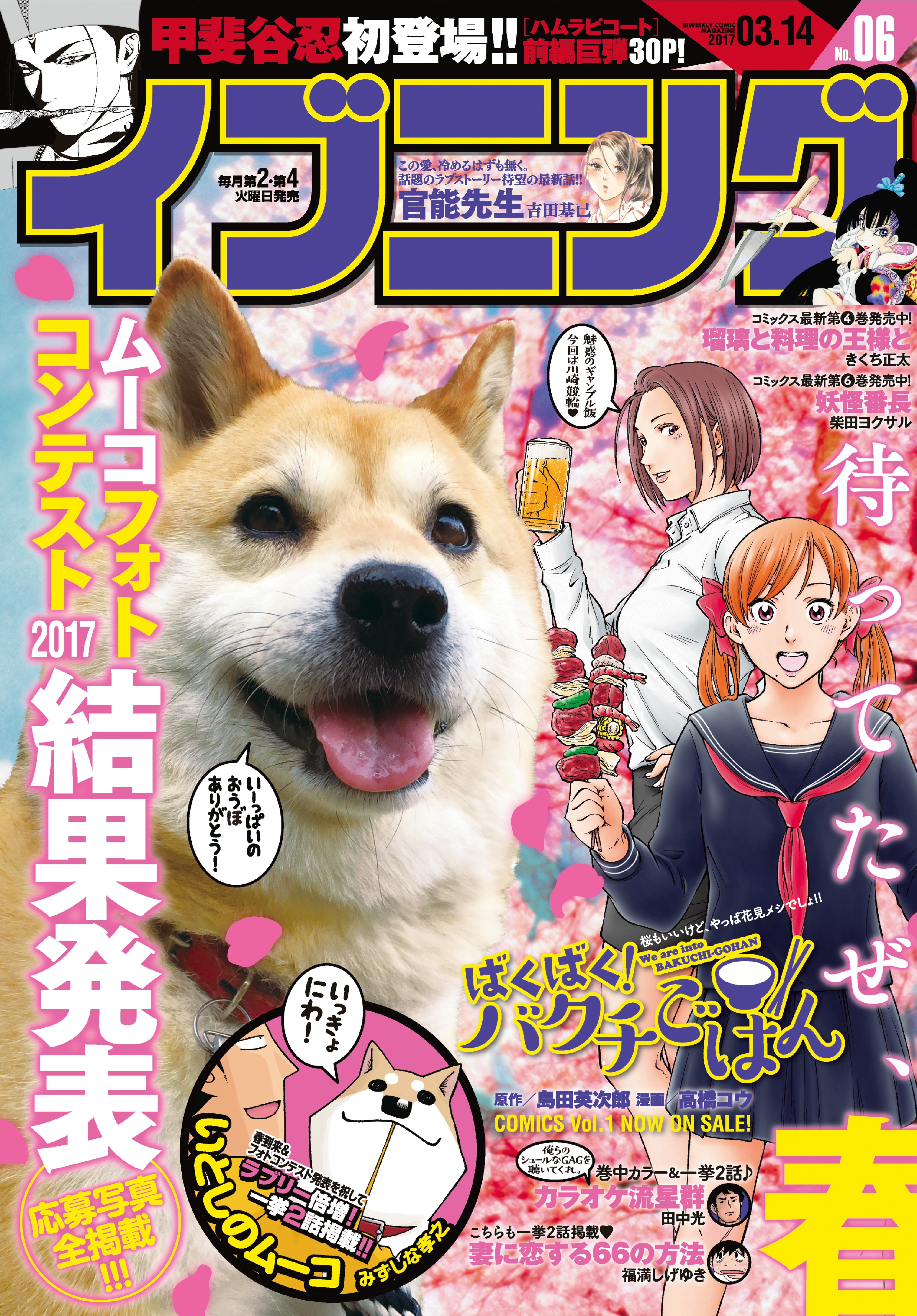 イブニング　2017年6号 [2017年2月28日発売]