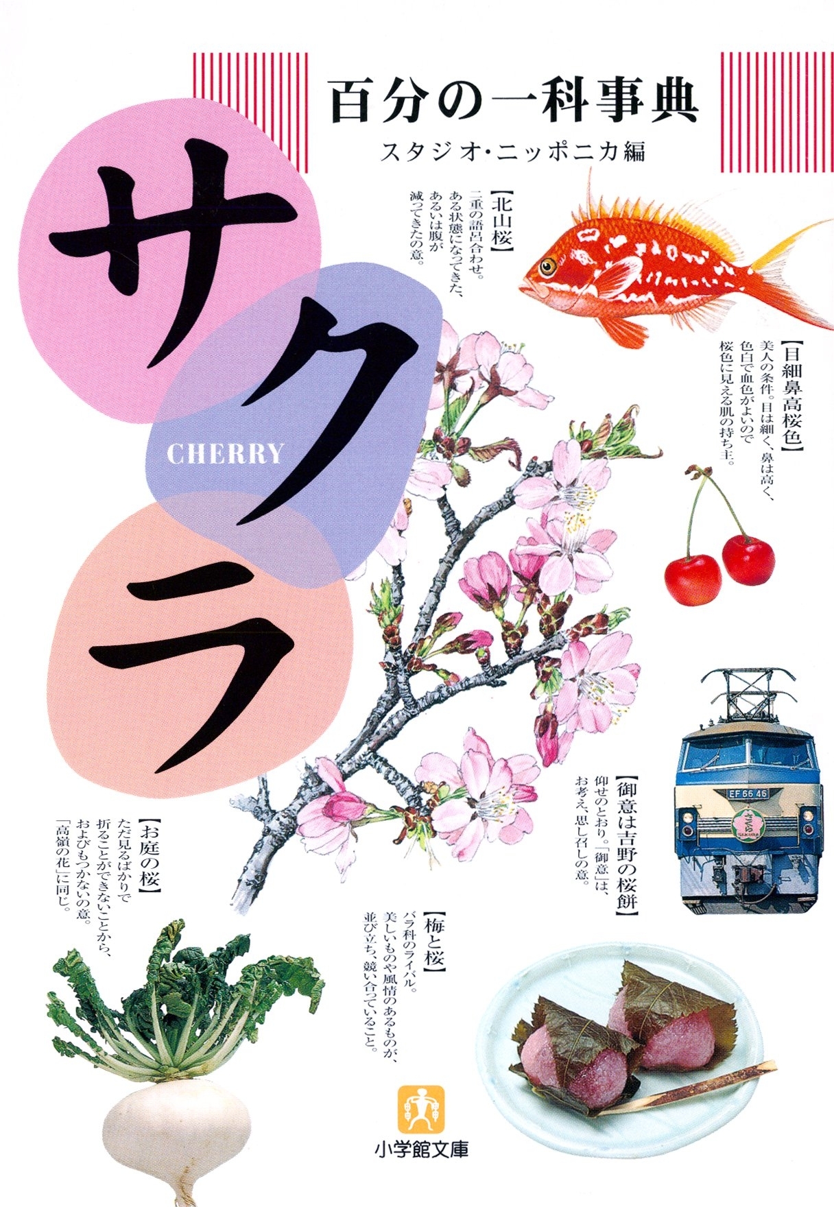 百分の一科事典・サクラ（小学館文庫）
