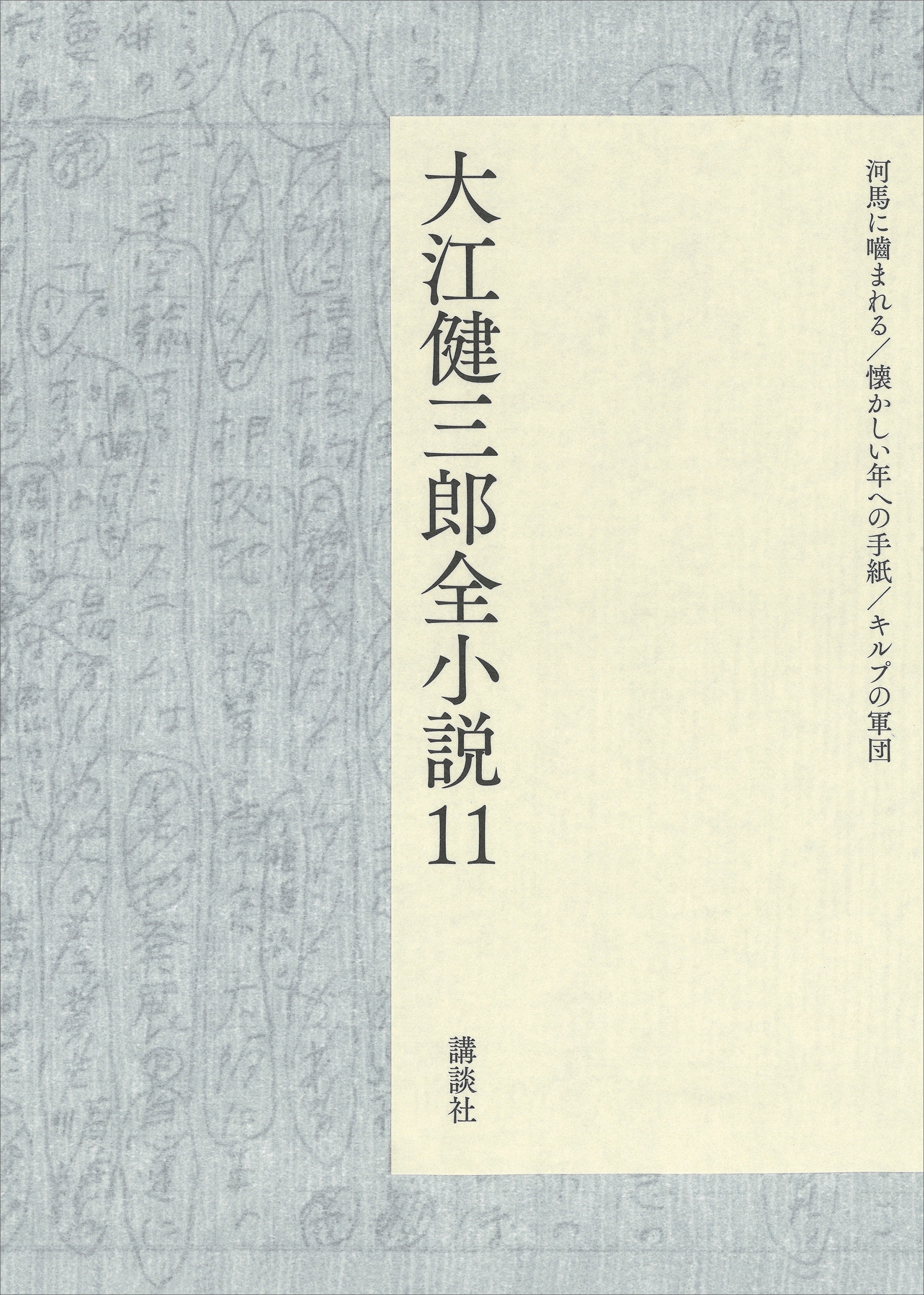 大江健三郎全小説　第１１巻