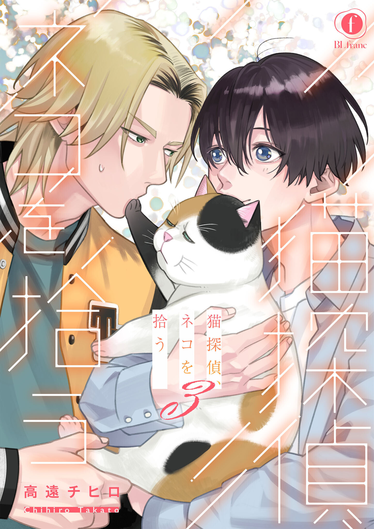 猫探偵、ネコを拾う　（3）