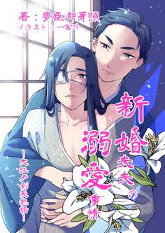 新婚夫夫の溺愛事情―大江戸剣豪艶話―
