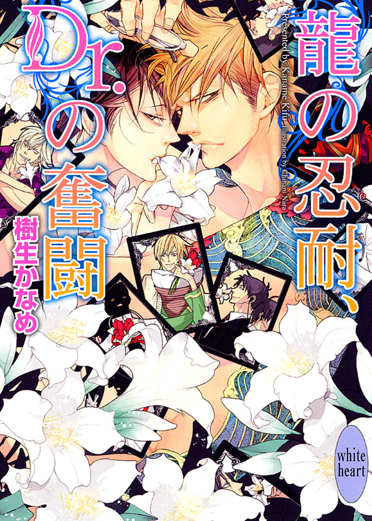 龍の忍耐、Ｄｒ．の奮闘　龍＆Ｄｒ．(15)