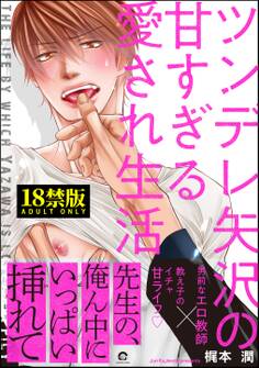 ツンデレ矢沢の甘すぎる愛され生活【極】