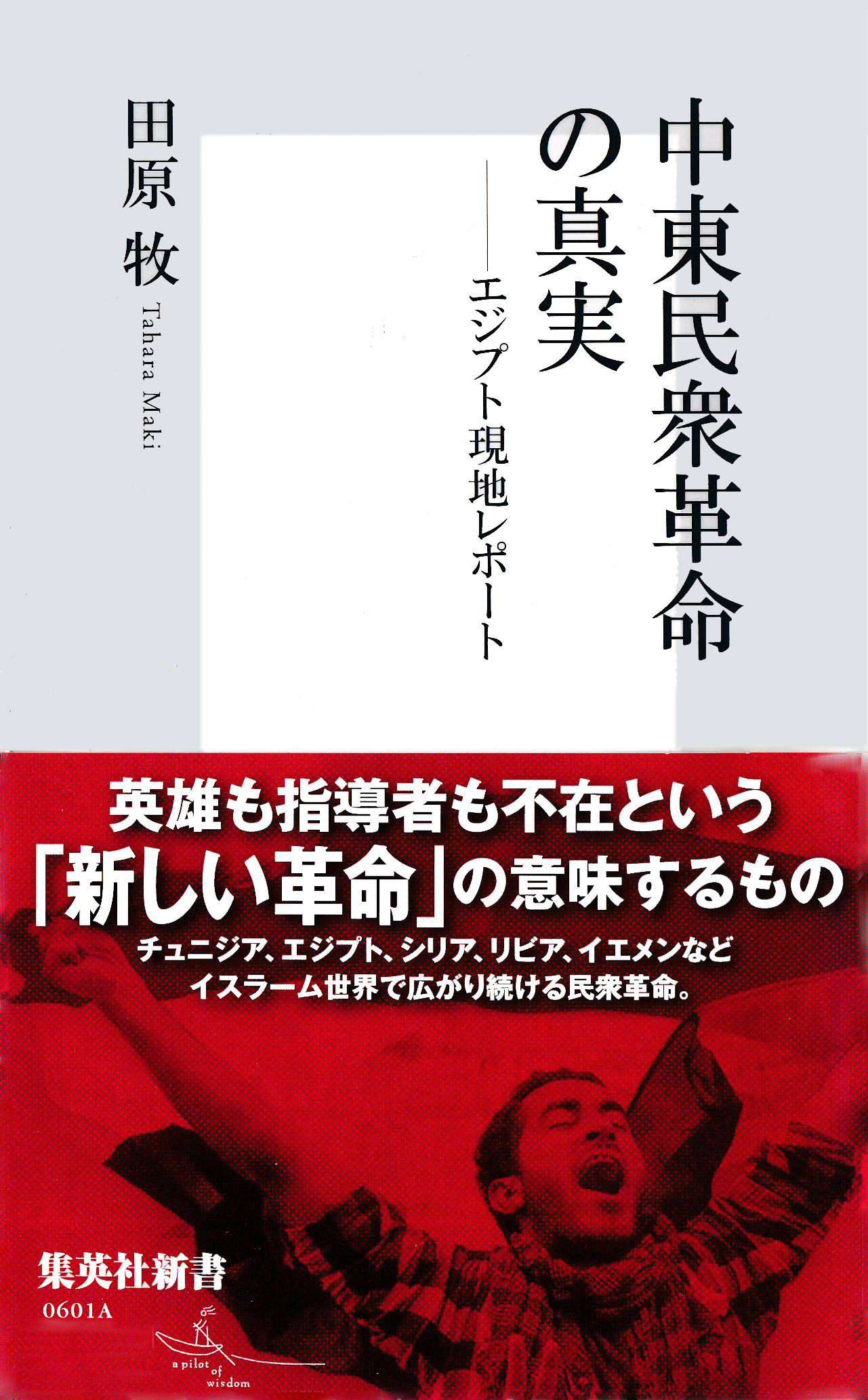 中東民衆革命の真実――エジプト現地レポート