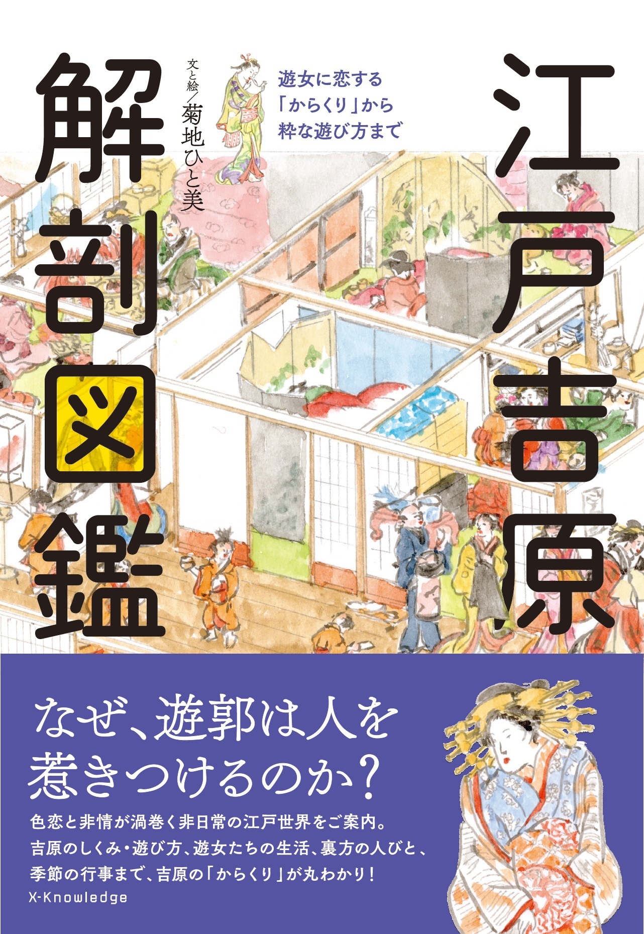 江戸吉原 解剖図鑑