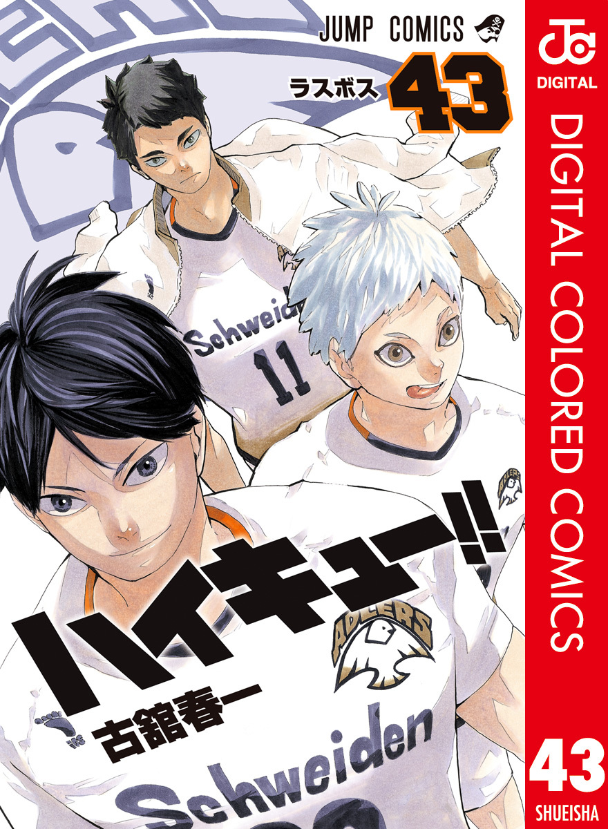 ハイキュー！！ カラー版 43