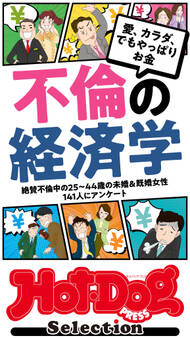 ホットドッグプレスセレクション 不倫の経済学 「大人のセックス白書」シリーズ