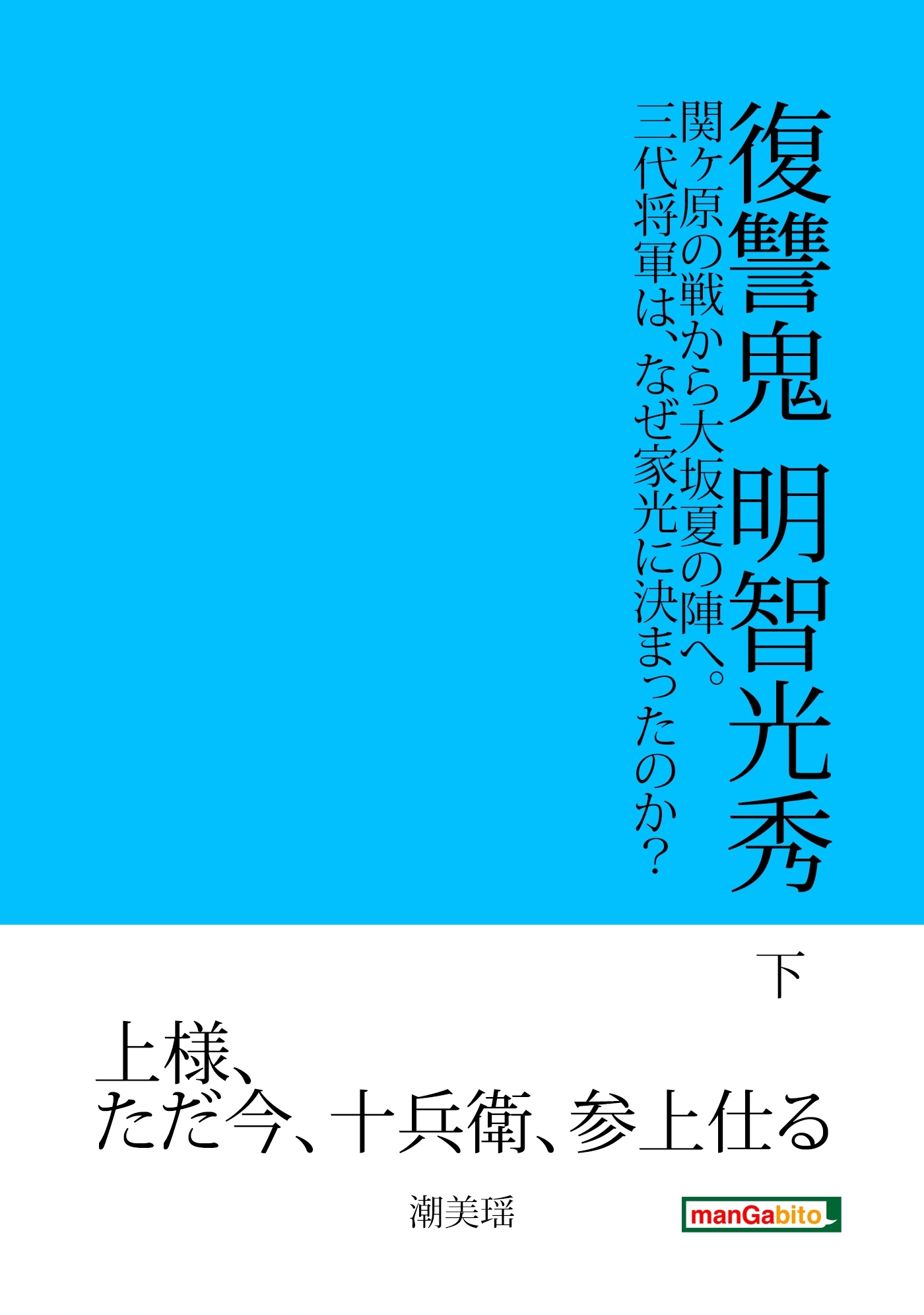 復讐鬼　明智光秀　下　関ヶ原の戦から大坂夏の陣へ。三代将軍は、なぜ家光に決まったのか？