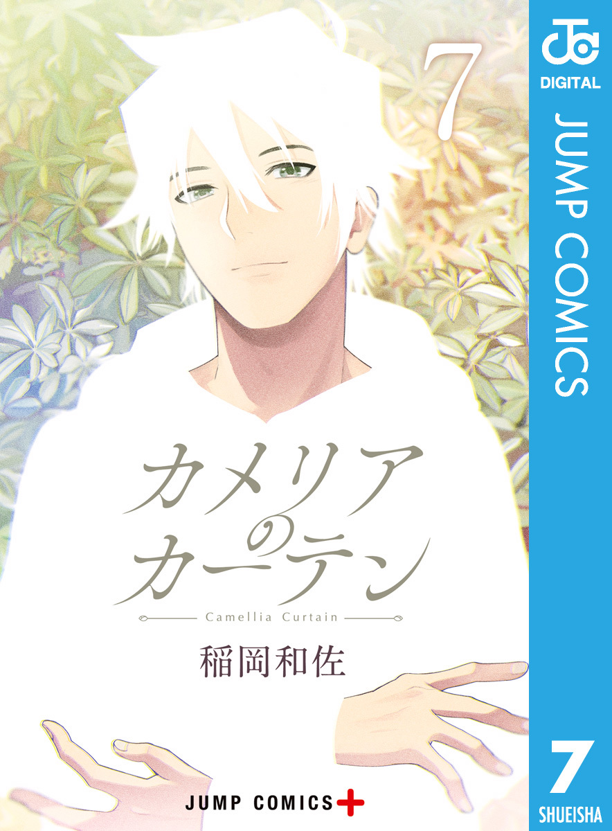 カメリアのカーテン