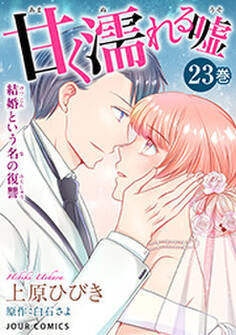 甘く濡れる嘘~結婚という名の復讐~ : 23