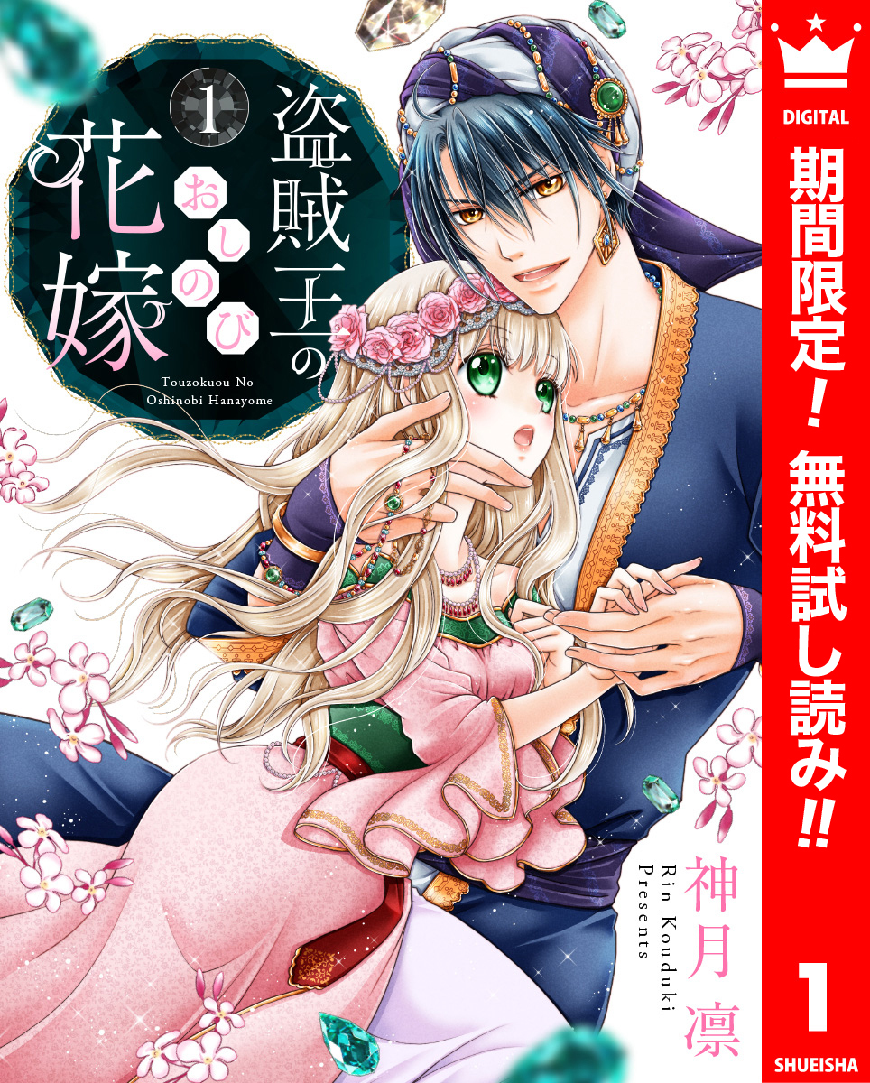 盗賊王のおしのび花嫁【期間限定無料】 1