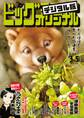 ビッグコミックオリジナル 2023年5号(2023年2月20日発売)