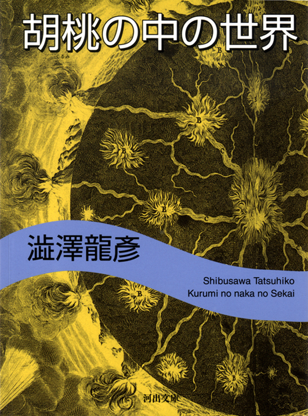 胡桃の中の世界