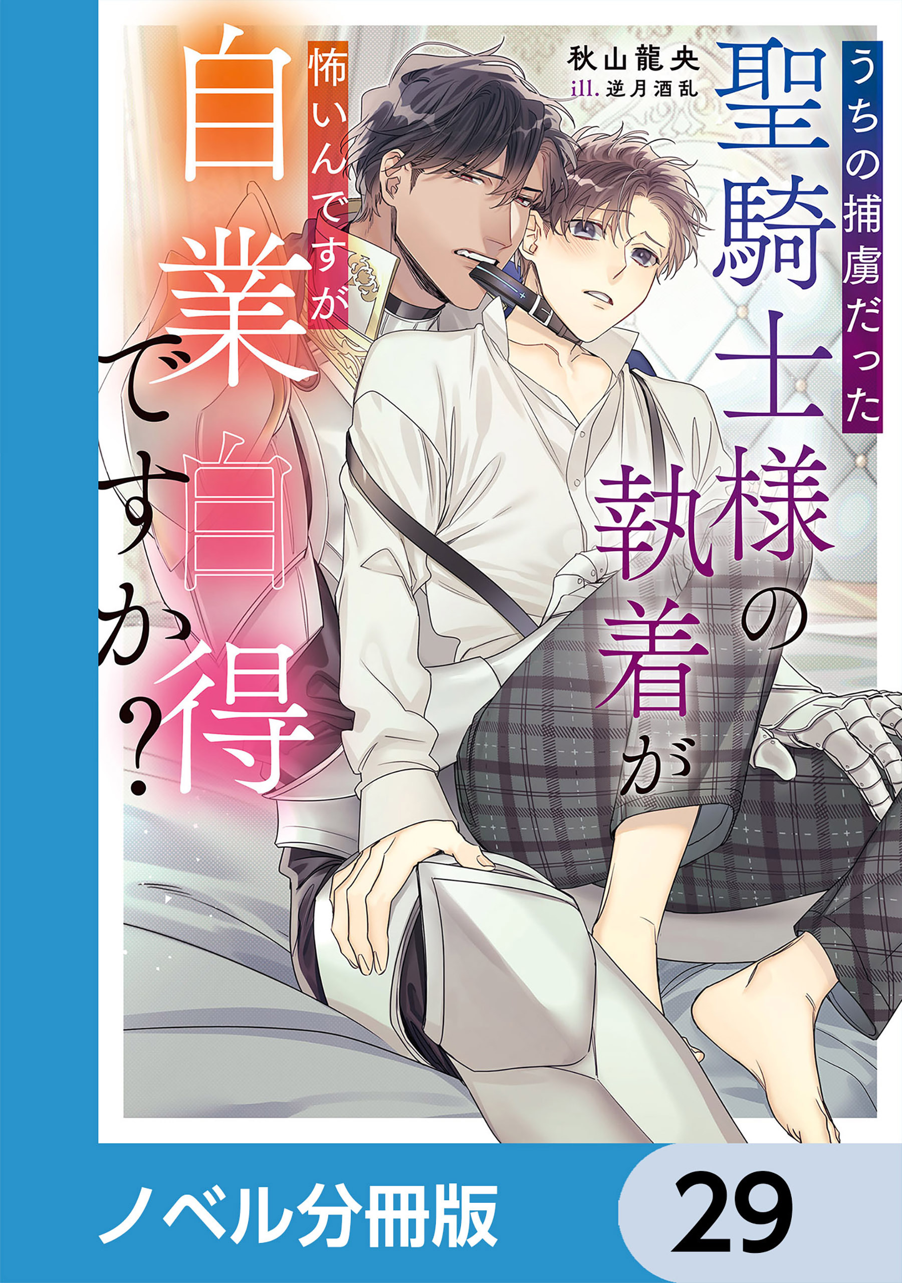 うちの捕虜だった聖騎士様の執着が怖いんですが自業自得ですか？【ノベル分冊版】　29