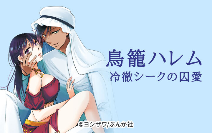 鳥籠ハレム 冷徹シークの囚愛（分冊版）