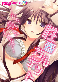 性春カルテット ~ねぇ、私じゃダメかな?~